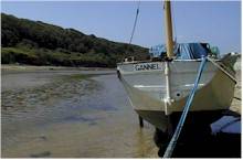 boats at low water