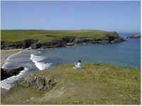 wpe6C.jpg (4361 bytes)