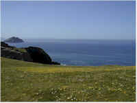 wpe71.jpg (3866 bytes)