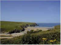 wpe75.jpg (4232 bytes)